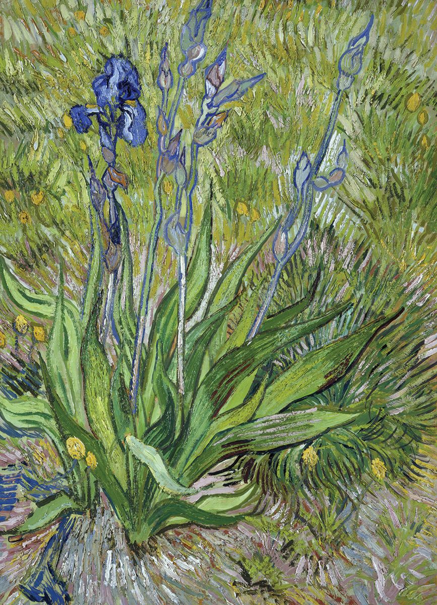 Iris By Vincent Van Gogh 1000 Pieces Puzzle