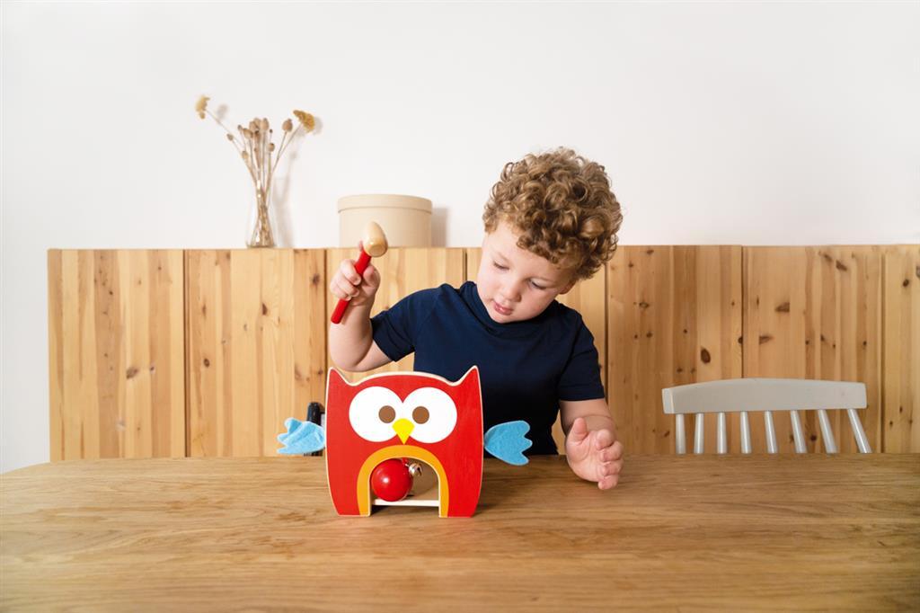 Toc Toc Owl Lou